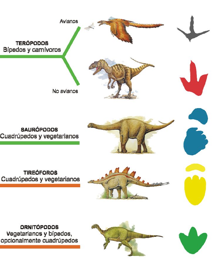 ¡Hallazgo prehistórico en México! Localizan más de 50 huellas de dinosaurios de hace 65 millones de años en Michoacán