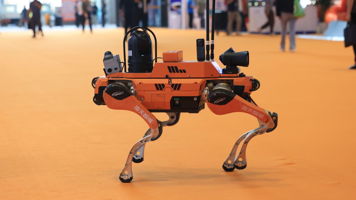 Ni Robots Ni Drones Una Empresa Estadounidense Apuesta Por Perros Modificados Gen Ticamente Para Futuras Misiones Militares