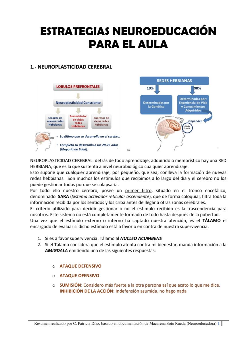 La UNSE abrió las inscripciones para una diplomatura en Neuroeducación e Innovación Digital