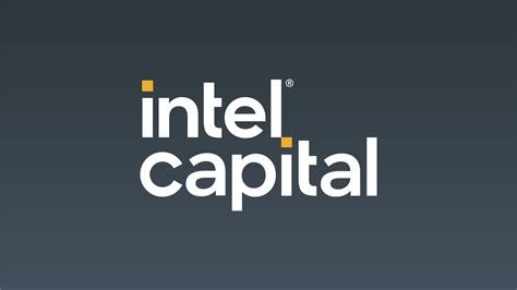 Cali Atrae Capital 235 Startups Y 25 Tecnol Gicas Globales