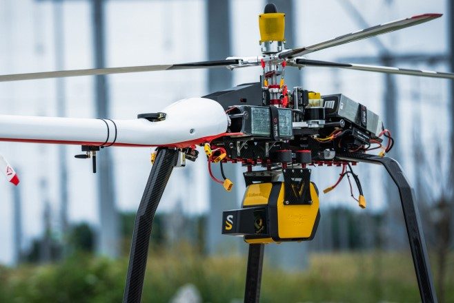 Los hallazgos sobre el aleteo del chotacabras podrían orientar el desarrollo de drones y robots voladores