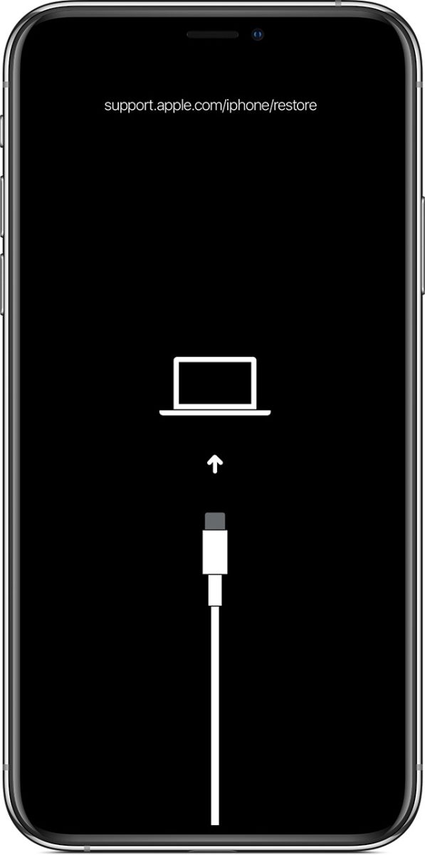 Apple Reconoce Los Problemas En La Pantalla Del Iphone Duo Cu L Es El Pr Ximo Paso