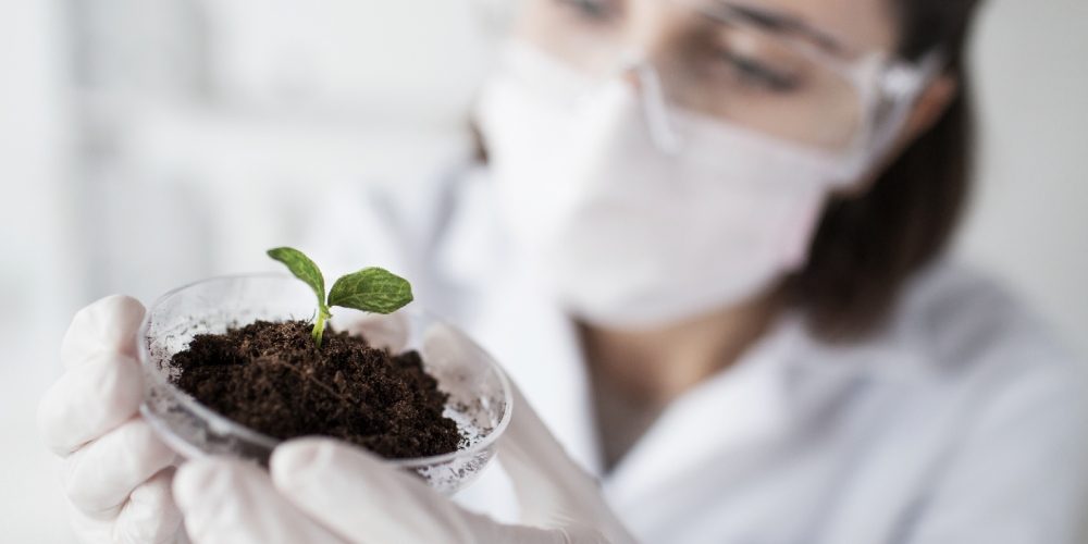La Empresa Agtech Hectre Inaugura Un Laboratorio En Nueva Zelanda Para Desarrollar Tecnolog A Hiperespectral Pionera